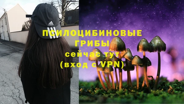 кристаллы Белоозёрский