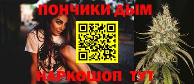 мдпв Новозыбков