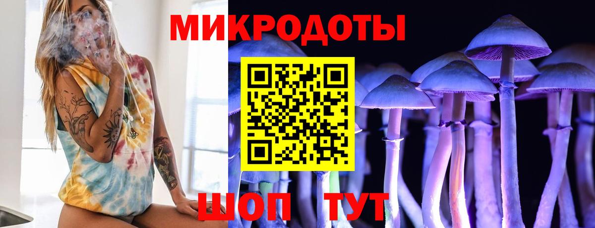 Псилоцибиновые грибы мухоморы Славгород
