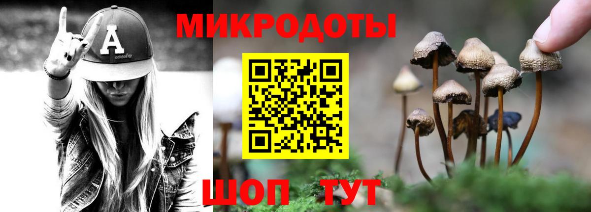 Псилоцибиновые грибы мухоморы  Галлюциногенные грибы Psilocybine cubensis  Славгород  Вход с VPN 
