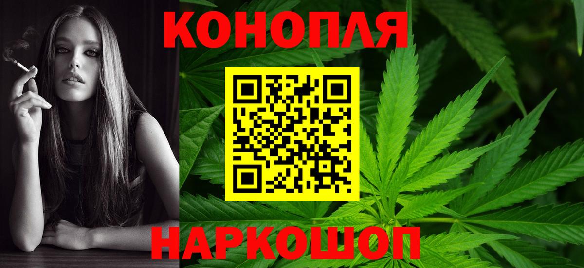 Бошки марихуана гибрид Славгород